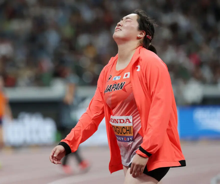 北口榛花是, cn 北口榛花是, cn